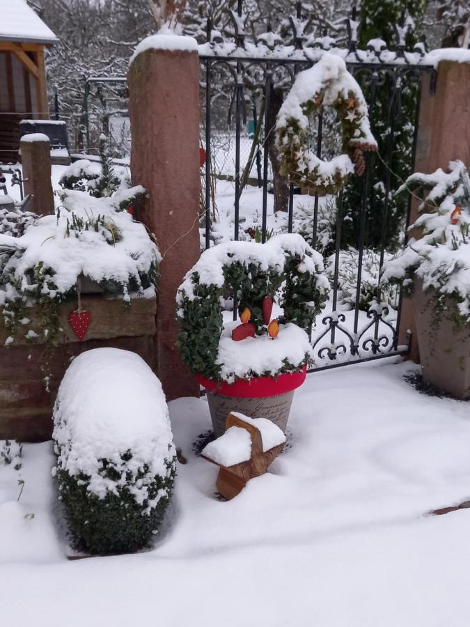L'Alcove Des P'Tits Coeurs Villa Benfeld Dış mekan fotoğraf