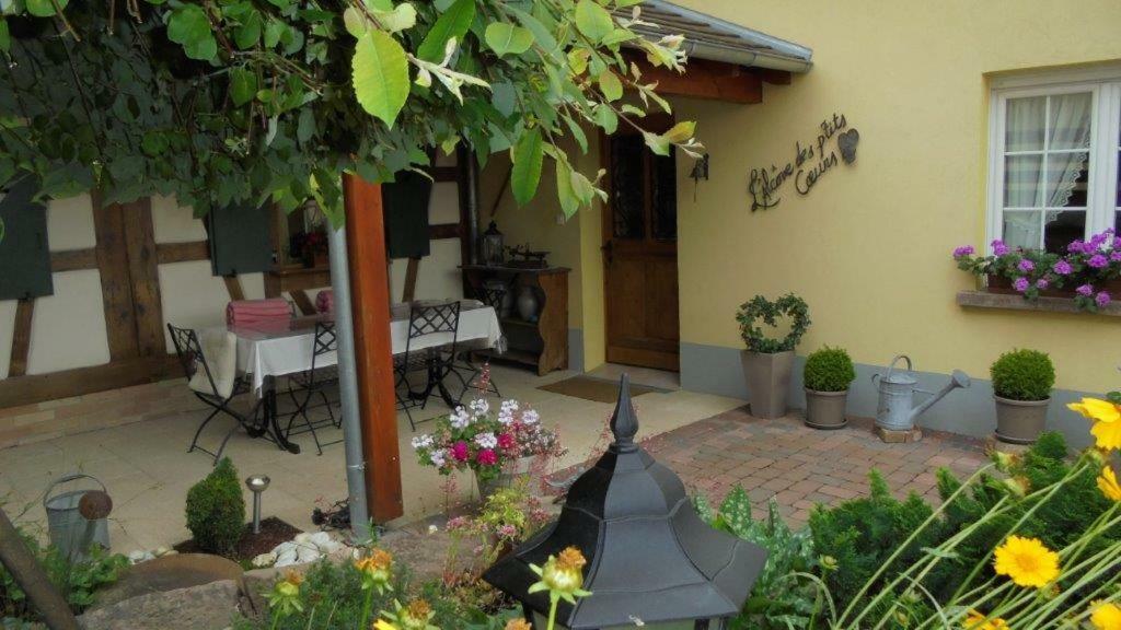 L'Alcove Des P'Tits Coeurs Villa Benfeld Dış mekan fotoğraf